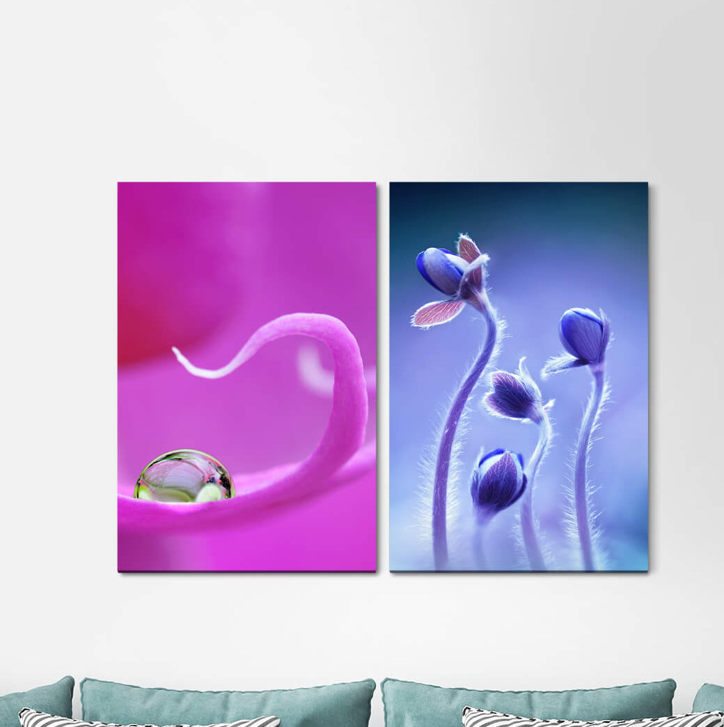 2-tlg. Leinwandbilder-Set - Fotografie „Pink Flowers Blossoms Water Drops Spring Blue”