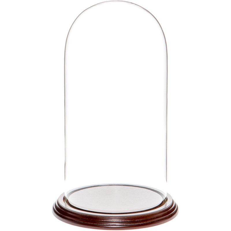 Cloche à dôme en verre 5,5 "x 11" Vucciria, Base en placage d'acajou foncé