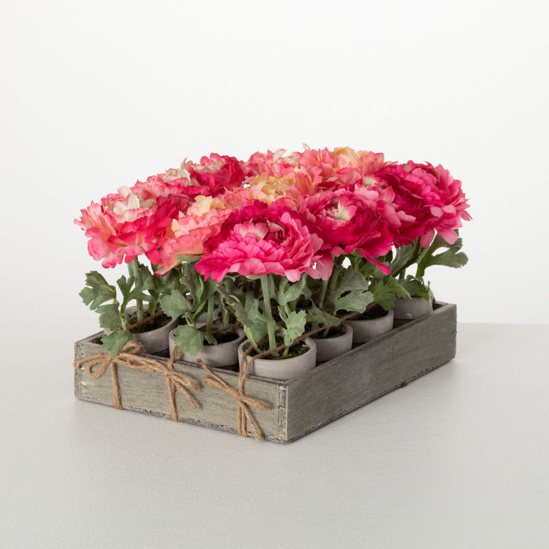 Caisse de pivoines en pot 7 po