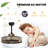 Poling Ceiling Fan with Light Kit