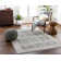 Delyse Oriental Machine Made Power Loomed Polyester Area Rug in Olive/Gold/Beige/Gray