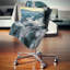 Coussin Schafer-435419119-435378533