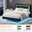 Upholstered Bed Frame With Diamond Tufted Headboard And RGB LED Lights, No Box Spring Required-1775471139-1775471138