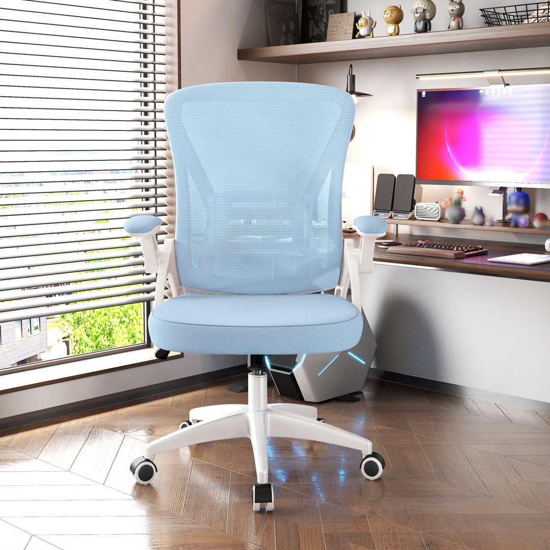 Ergonomic Mesh Office Chair