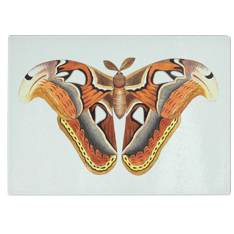 Tempered Glass Atlas Moth Chopping Board, 39 cm W x 28.5 cm L
