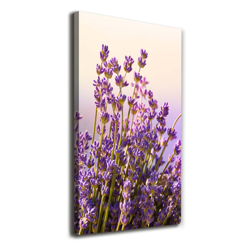 Lavender - Wrapped Canvas Print