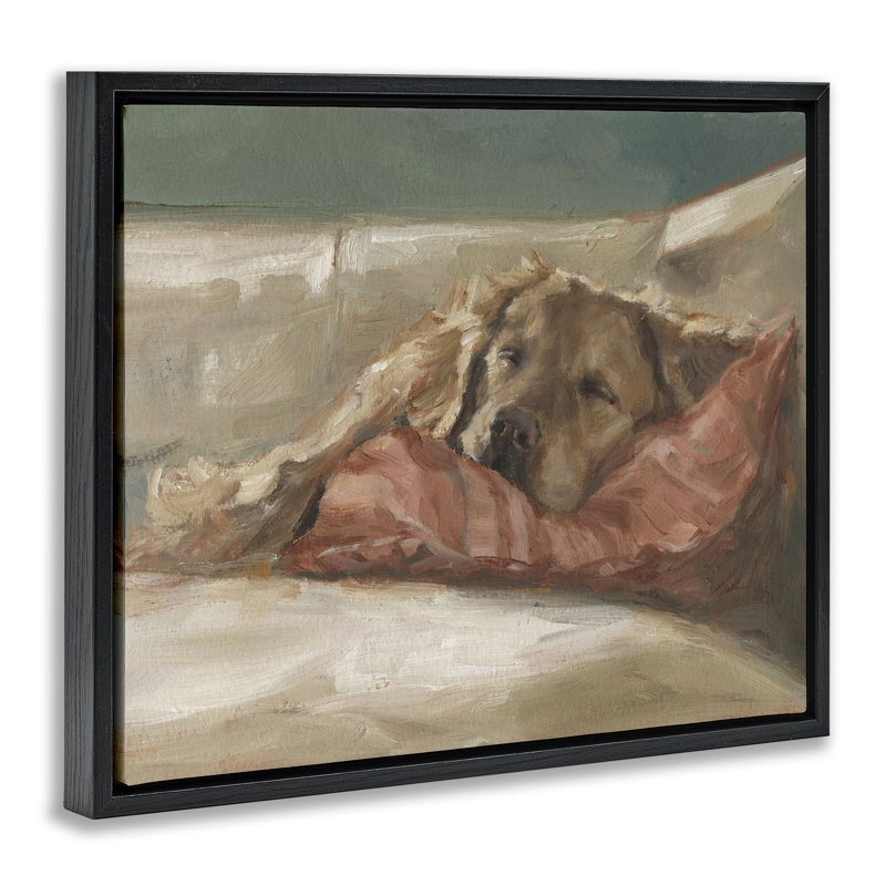 «Comfortable Sleeping Labrador», art mural encadré flottant par Labrador, H 25 po x l 31 po, Cadre flottant noir de jais