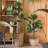 Faux Fiddle Leaf Fig Tree in Resin and Plastic Pot-345646495