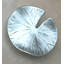 Botanical Novelty Knob-15836120
