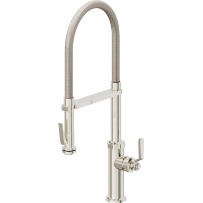 Culinary Pull-Out Kitchen Faucet With Squeeze Sprayer