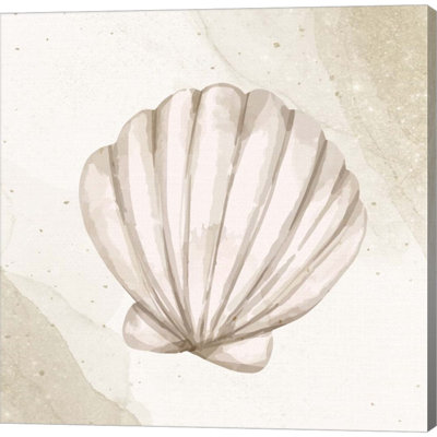 " Calming Shell 2 " by Kimberly Allen