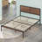 Raynia Metal Platform Bed-61665672
