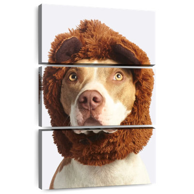 Bandeau en fourrure de chien Brampt