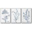 Ensemble de 3 pièces botaniques antiques encadrées sur toile IV-97759905-97759901