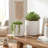 S/2 Textured White Ceramic Planters