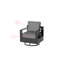 Ensemble de chaises berçantes pivotantes en aluminium avec coussins Eleanor (ensemble de 2)-1209114974