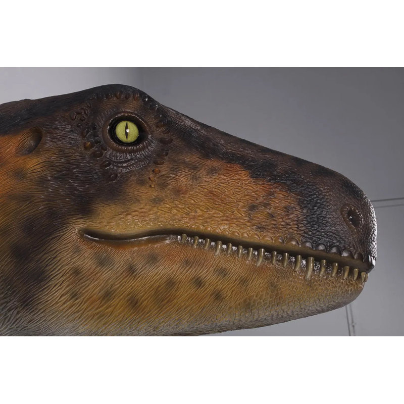 Statue de tête de dinosaure Theropod