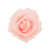 Rosé sélectionné