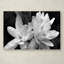 Print on Canvas-18234878