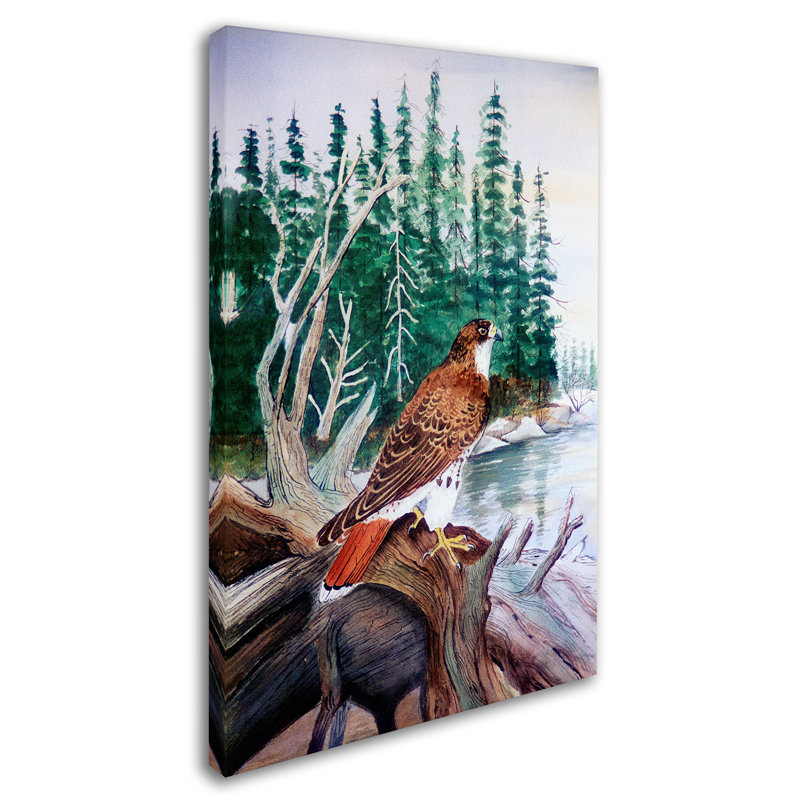 Dugazon 'Red Tailed Hawk' Print on Wrapped Canvas, 32" H x 22" W