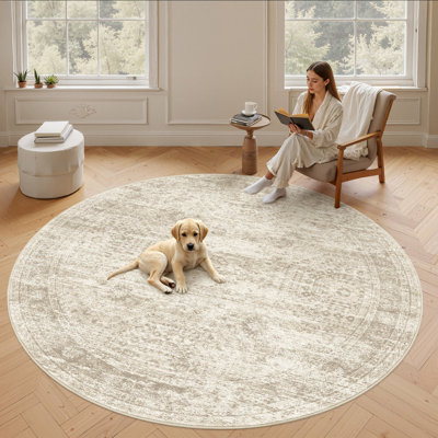 Tapis persan lavable délavé