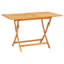 Baysden 6 - Person Teak Patio Dining Set with Rectangular Table