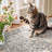 Floral Machine Washable Area Rug-1585367500-1593663286