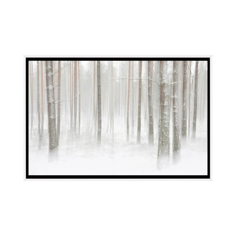 Winterforest In Sweden by Christian Lindsten - Print on Canvas