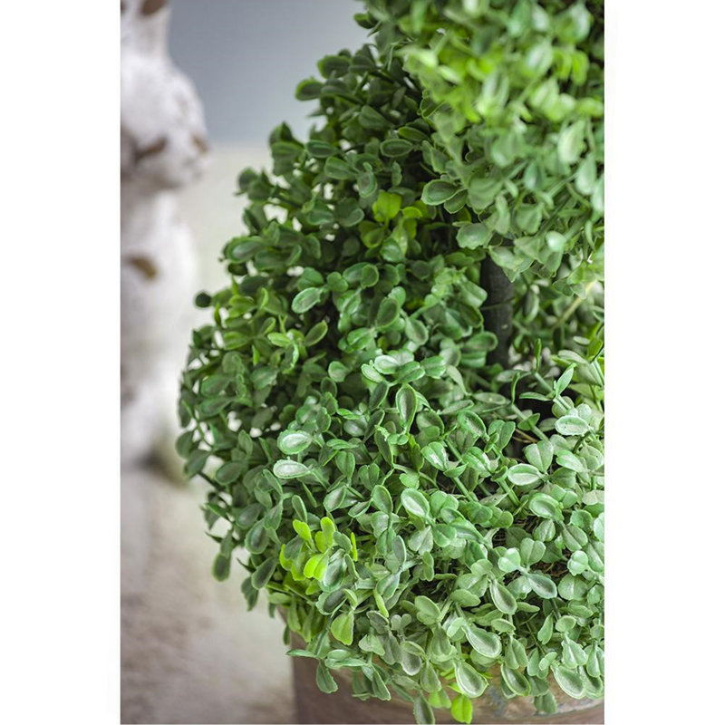35'' Boxwood Topiary in Faux Concrete Planter