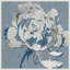 «Golden Flower I» par Asia Jensen, reproduction d'art sur toile encadrée-1972032491