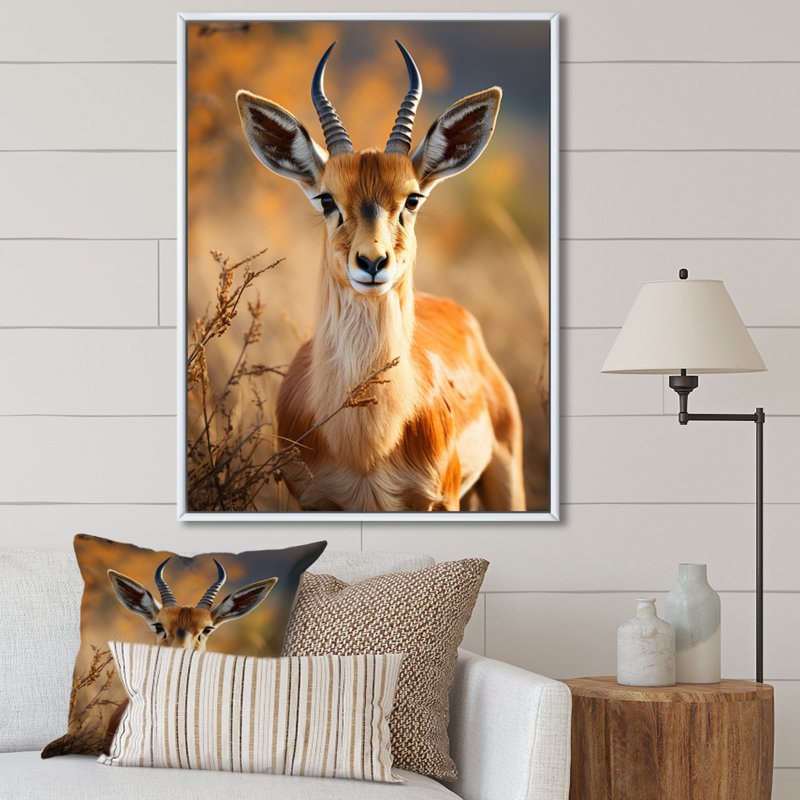 Antilope Kendon, photo I - impression, H 32 po x l 16 po x P 1 po, Cadre flottant blanc
