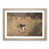 Oak Framed selected