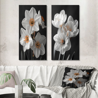 Ensemble de 2 jonquilles botaniques blanches, jaunes et jaunes