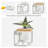 5'' H Wall Wall Sconce-1950924776