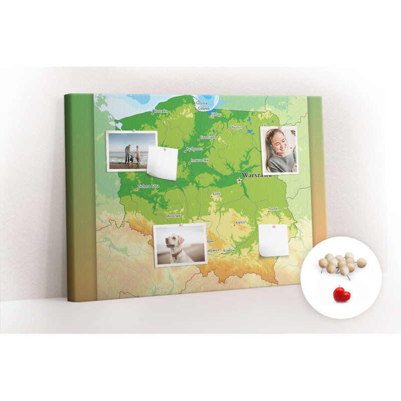 Drago Cork Corkboard / Bulletin Board
