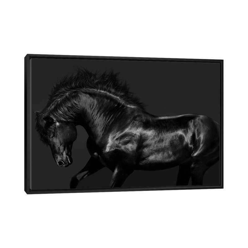 «Black on Black», impression sur toile, H 18 po x l 26 po x P 1,5 po, Toile avec cadre noir, Pas de tapis