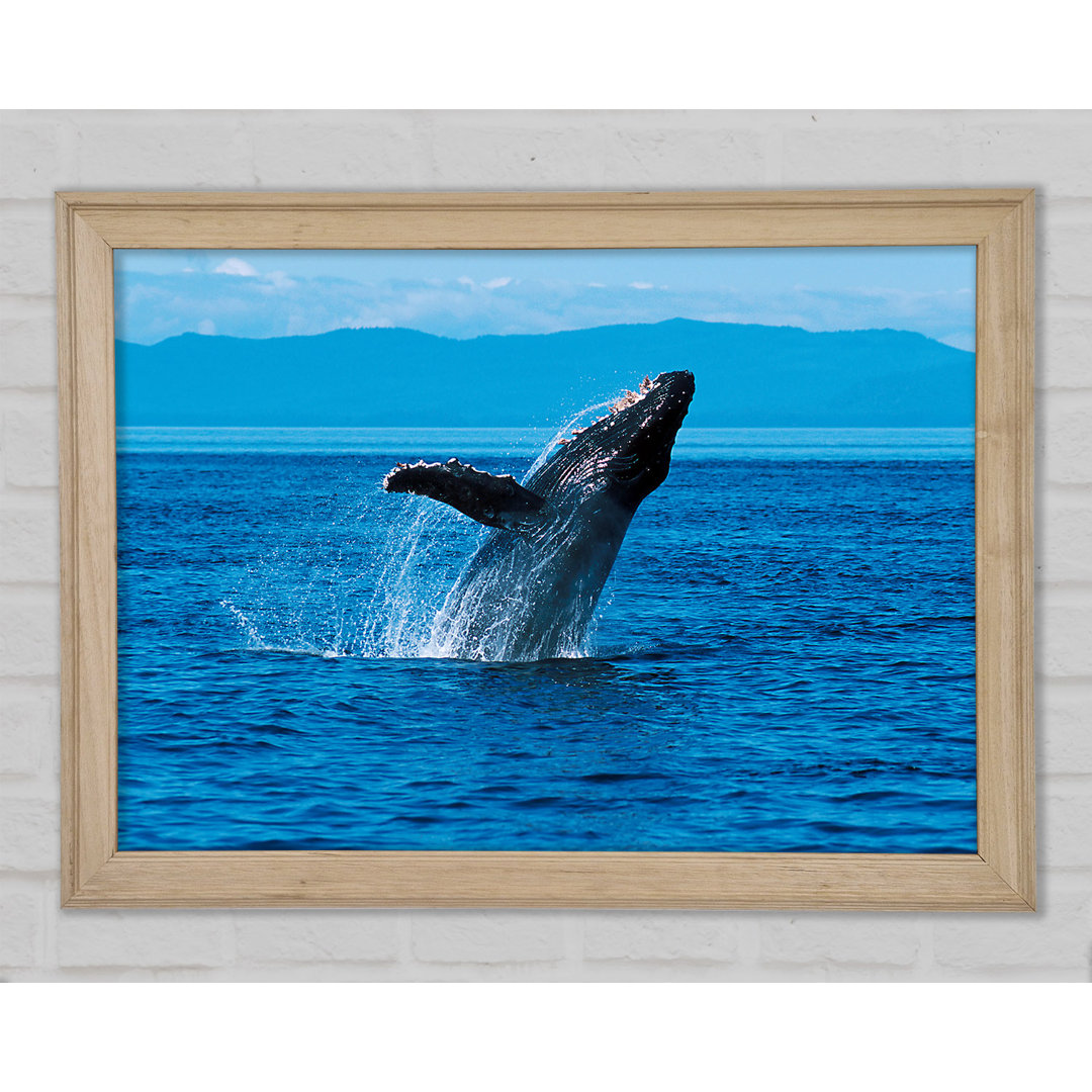 Whale Ocean Jump - Einzelner Bilderrahmen Kunstdrucke