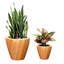 Ensemble de 2 pots à fleurs-1633799737