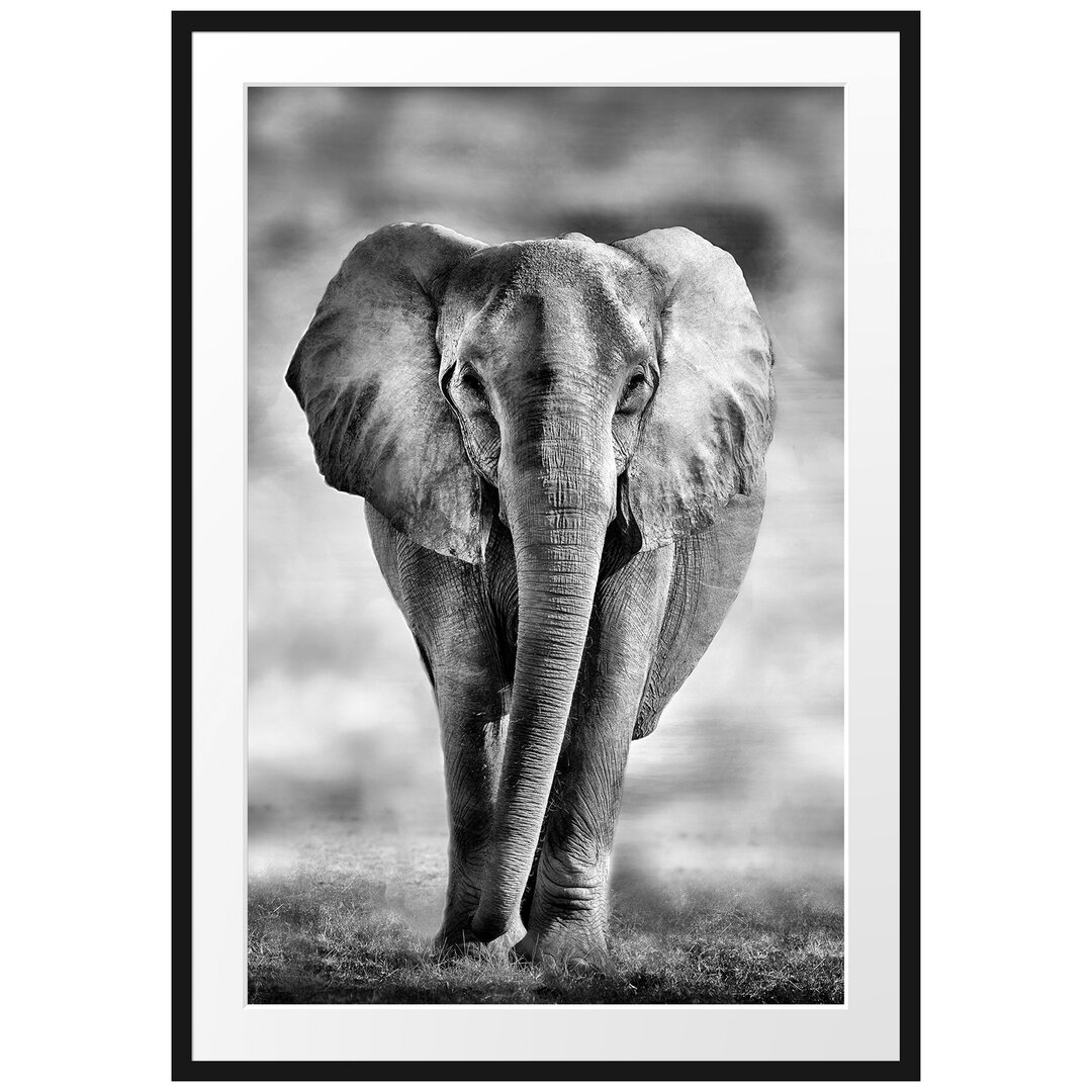 Gerahmtes Poster Elefant in Savanne