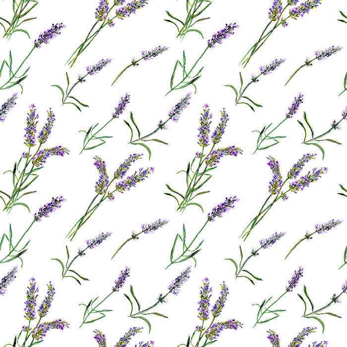 Lammers Floral Wallpaper, 250 x 104cm