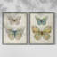 «Botanical Butterfly I», reproduction encadrée de qualité supérieure - prête à être accrochée - aucun clou requis - aucun clou requis-382400401-382400402