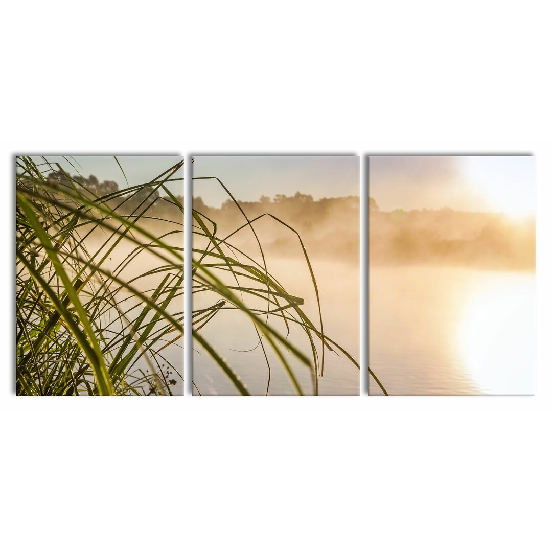 3-tlg. Leinwandbilder-Set Reeds at a Lake