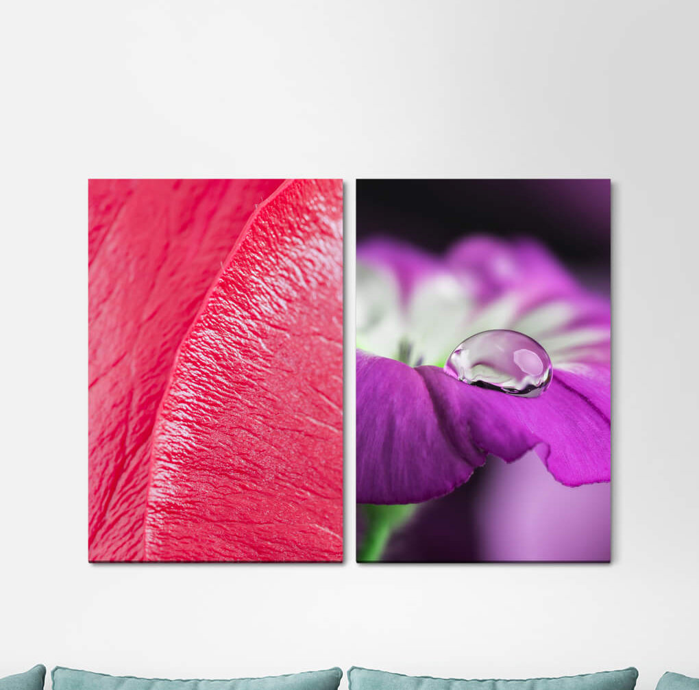 2-tlg. Leinwandbilder-Set - Fotografie „Orchid Blossom Pink Water Drops Harmonious”