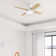 Dempsey Low Profile 44" 4 - Blade Indoor Flush Mount Small Room Ceiling Fan with Lights and Remote