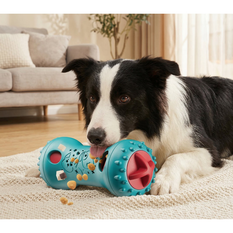 Jouet pour chien réglable, réglable et interactif, en nylon