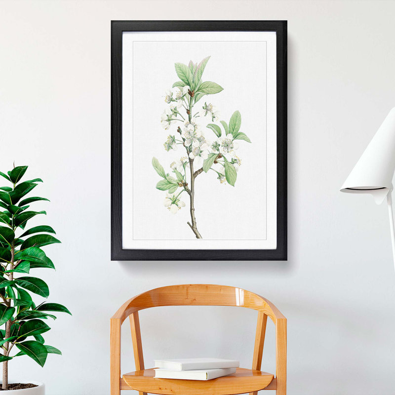 Plum Tree Flowers by Pierre-Joseph Redoute - Picture Frame Painting Print, 48cm H x 36cm W x 2cm D, Black Framed