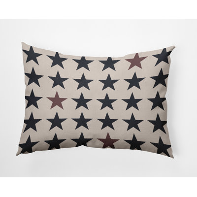 E By Design Polyester Lumbar Rectangular Indoor/outdoor Pillow Cover & Insert