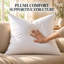 Coussin décoratif carré blanc 100% coton, 25% duvet et 75% plumes, plusieurs tailles-93653219