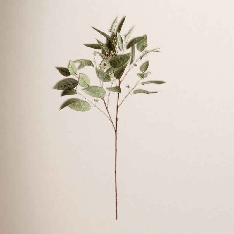 41-Inch Eucalyptus Seed Stem