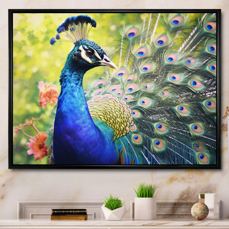 «Vibrant Peacock I» - art mural paon, Cadre flottant noir, H 12 po x l 20 po x P 1 po
